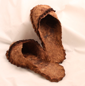 Mushroom paper shoes